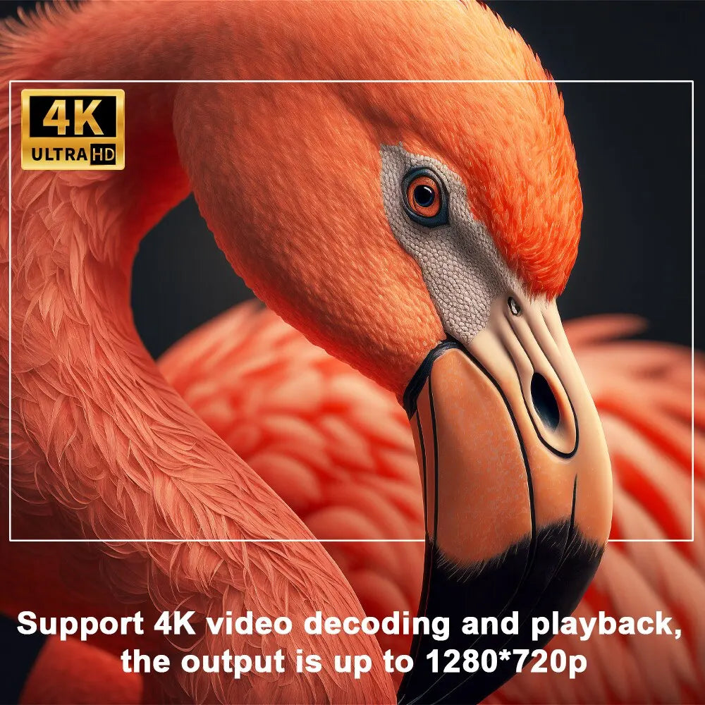 Close-up of a flamingo's head with a black beak and pink feathers. Text overlayed on the image reads 4K ULTRA HD.